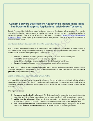 Custom Software Development Agency India Transforming Ideas Into Powerful Enterprise Applications