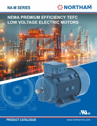 NEMA Premium Efficiency TEFC Low Voltage Electric Motors