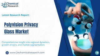 Transparent Pharmaceutical Blister Packaging Market, Global Outlook and Forecast