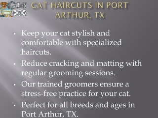 Professional Cat Haircuts in Port Arthur, TX