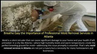 Breathe Easy the Importance of Professional Mold Removal Services in Atlanta