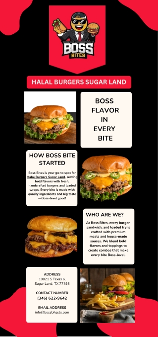 Halal Burgers Sugar Land