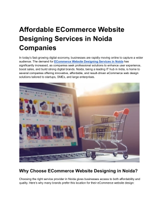 Affordable ECommerce Website Designing Services in Noida Companies