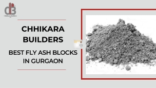 Leading Bad Ash Powder Supplier in Gurgaon
