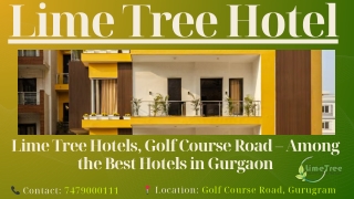 Affordable 4-Star Comfort at Lime Tree Hotels Gurgaon