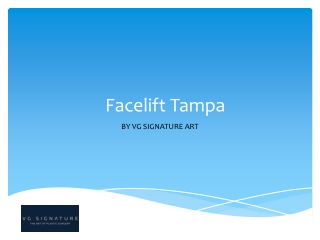 Facelift Tampa - VgSignatureart