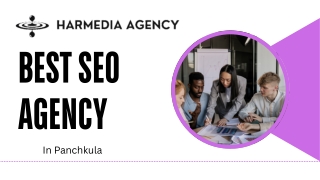 Best SEO Agency in Panchkula | HarMedia Agency