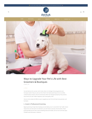 Ways to Upgrade Your Pet’s Life with Best Groomers & Boutiques
