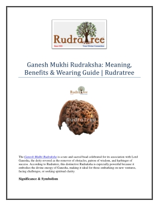 Ganesh Mukhi Rudraksha