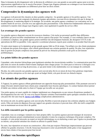 Comment choisir entre une grande et une petite agence web ?