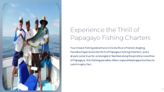 costa rica fishing charters