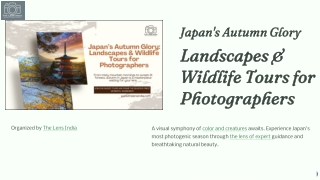 Japans-Autumn-Glory-PPT-updated.01