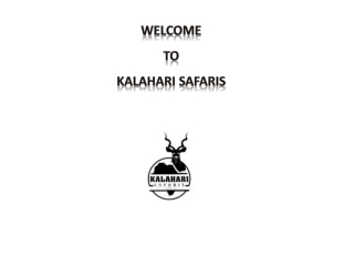 Kalahari safaris
