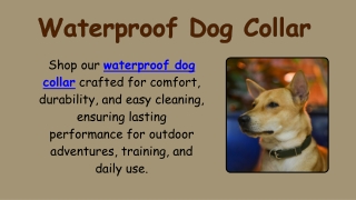 Waterproof Dog Collar