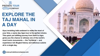 A Day at the Taj Mahal: Private Tour Company