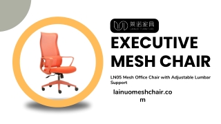 executive mesh chair