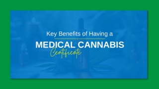Authorized Access to Cannabis Therapy