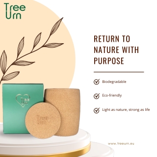 treeurn pdf return to nature Biodegradable Urn – A Sustainable Tribute to Life