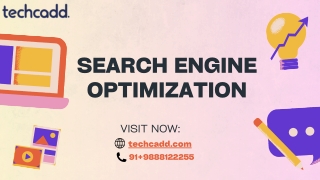 Best Search Engine Optimization Course in Jalandhar