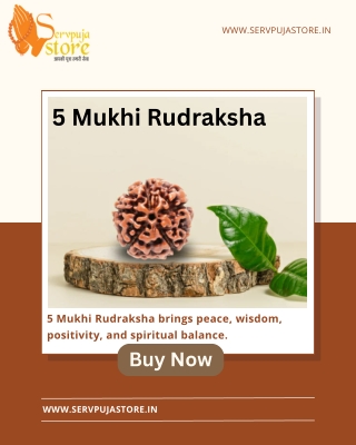 5 Mukhi Rudraksha