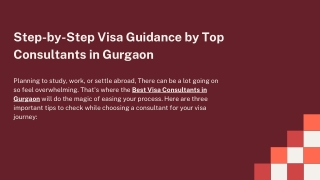 Step-by-Step Visa Guidance by Top Consultants in Gurgaon