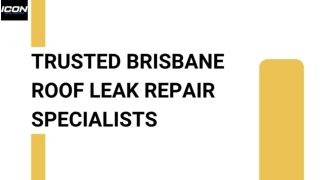 Trusted Brisbane Roof Leak Repair Specialists