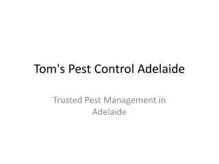 Tom’s Pest Control Adelaide – Expert Pest Management Solutions for Homes and Bus