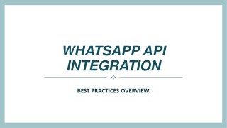 Best Practices for Successful WhatsApp API Integration