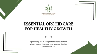 Essential Orchid Care for Healthy Growth