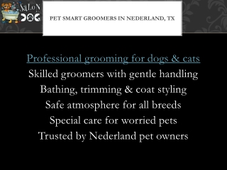 Professional Pet Smart Grooming Services Near Nederland, TX