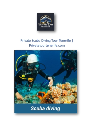 Private Scuba Diving Tour Tenerife | Privatetourtenerife.com