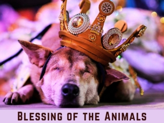 Blessing of the Animals