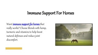 Immune Support For Horses