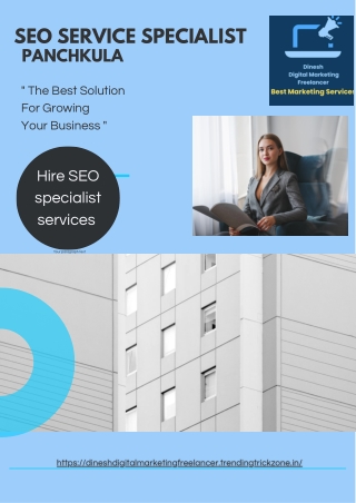 SEO SERVICE SPECIALIST PANCHKULA