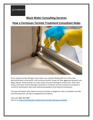 South Carolina Formosan Termite Treatment Experts