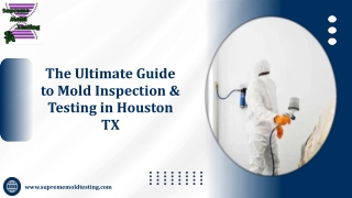 Mold Inspection & Testing Houston TX