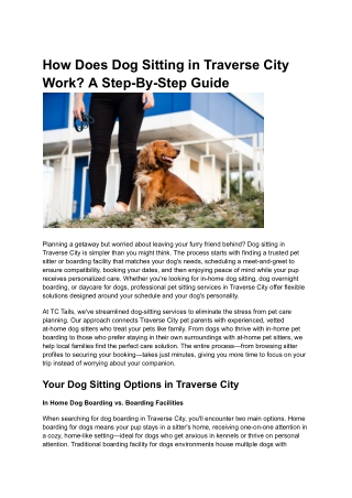 How Does Dog Sitting in Traverse City Work_ A Step-By-Step Guide