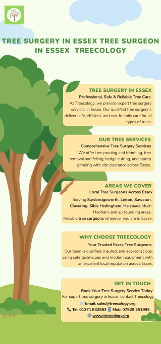 Tree Surgery in Essex Tree Surgeon in Essex  Treecology