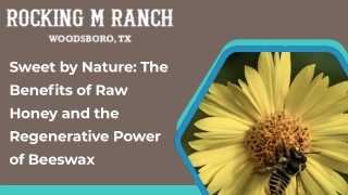 Sweet by Nature The Benefits of Raw Honey and the Regenerative Power of Beeswax