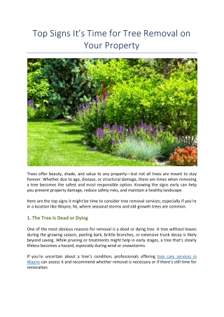 Top Signs It’s Time for Tree Removal on Your Property