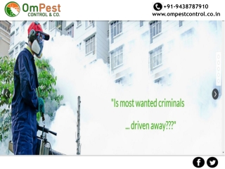OM Pest Control are the best pest control services