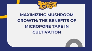 Maximizing Mushroom Growth: The Benefits of Micropore Tape in Cultivation