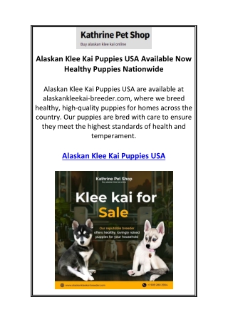 Alaskan Klee Kai Puppies USA Available Now Healthy Puppies Nationwide