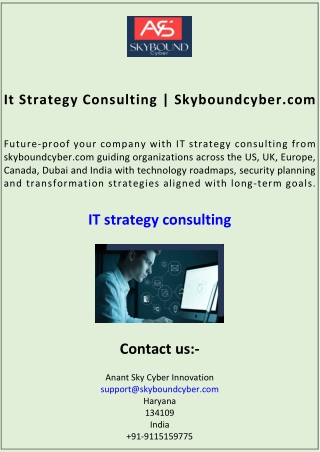 It Strategy Consulting Skyboundcyber.com