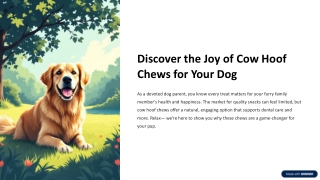 Discover-the-Joy-of-Cow-Hoof-Chews-for-Your-Dog