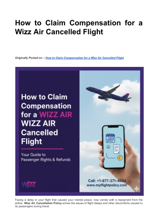 Download Wizz Air Cancelled Flight Compensation Guide PDF