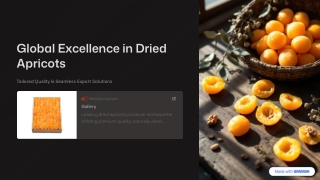 Global Excellence in Dried Apricots Tailored Quality & Seamless Export Solutions