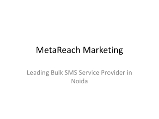 MetaReach_Bulk_SMS_Service_Provider_Presentation