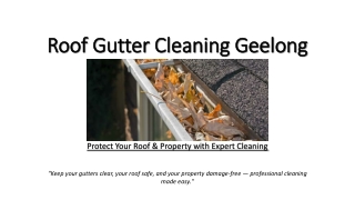 Expert Roof & Gutter Care in Geelong – Prevent Damage Fast