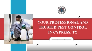 Your Professional and Trusted Pest Control in Cypress, TX
